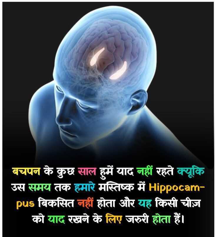 Bachpan Ki Yaadein Gayab Kyun? Jaaniye Kya Kehta Hai Hamara Brain!