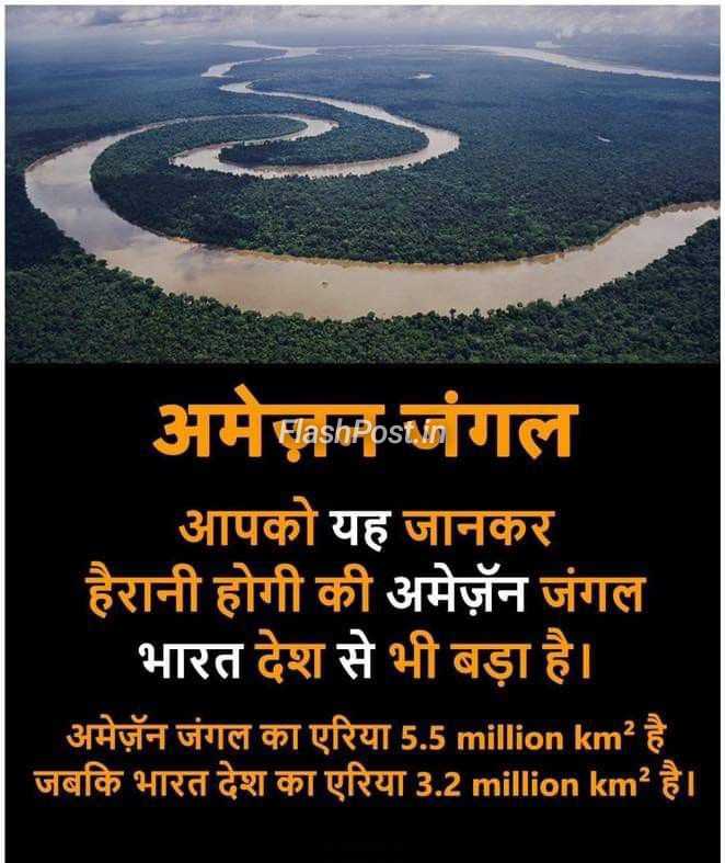 Amazon Jungle: Itna Bada Ki India Bhi Chhota Padh Jaaye!