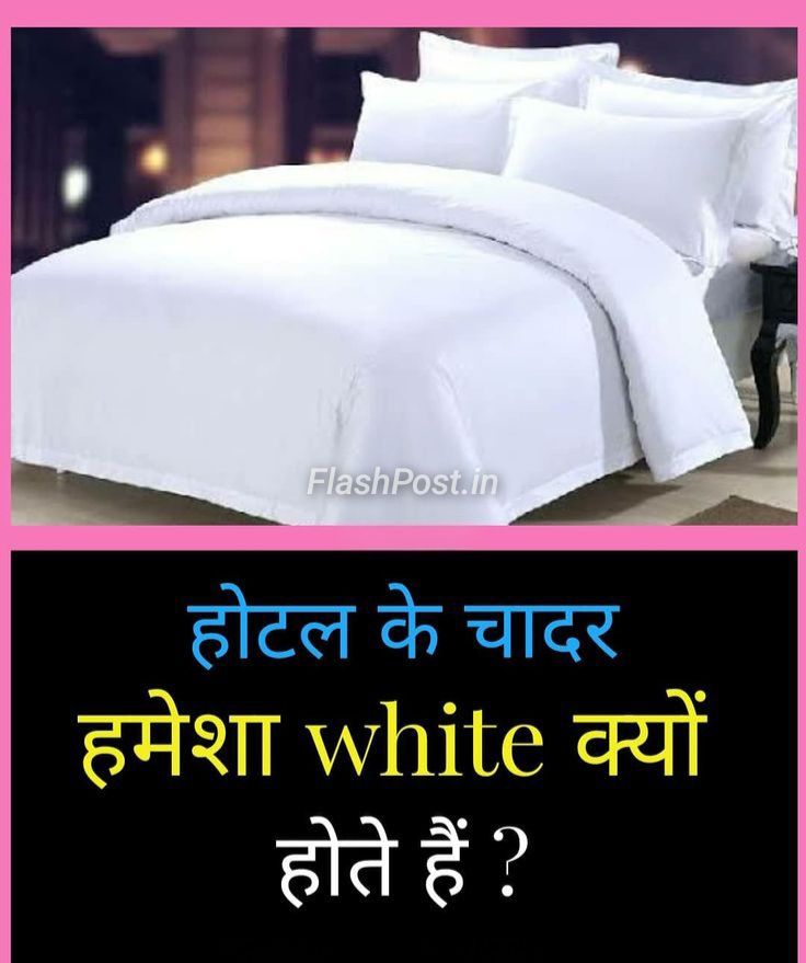 Hotel Ke Chadar Hamesha White Kyun Hote Hain? Jaanenge Iske Pichhe Ka Raaz!