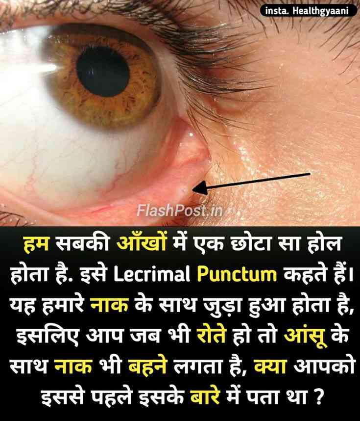 Aansoo Aur Naak Ka Secret Connection! 😱 Kya Aapko Pata Tha Aankh Mein Hai Ek Chhota Sa Hole?