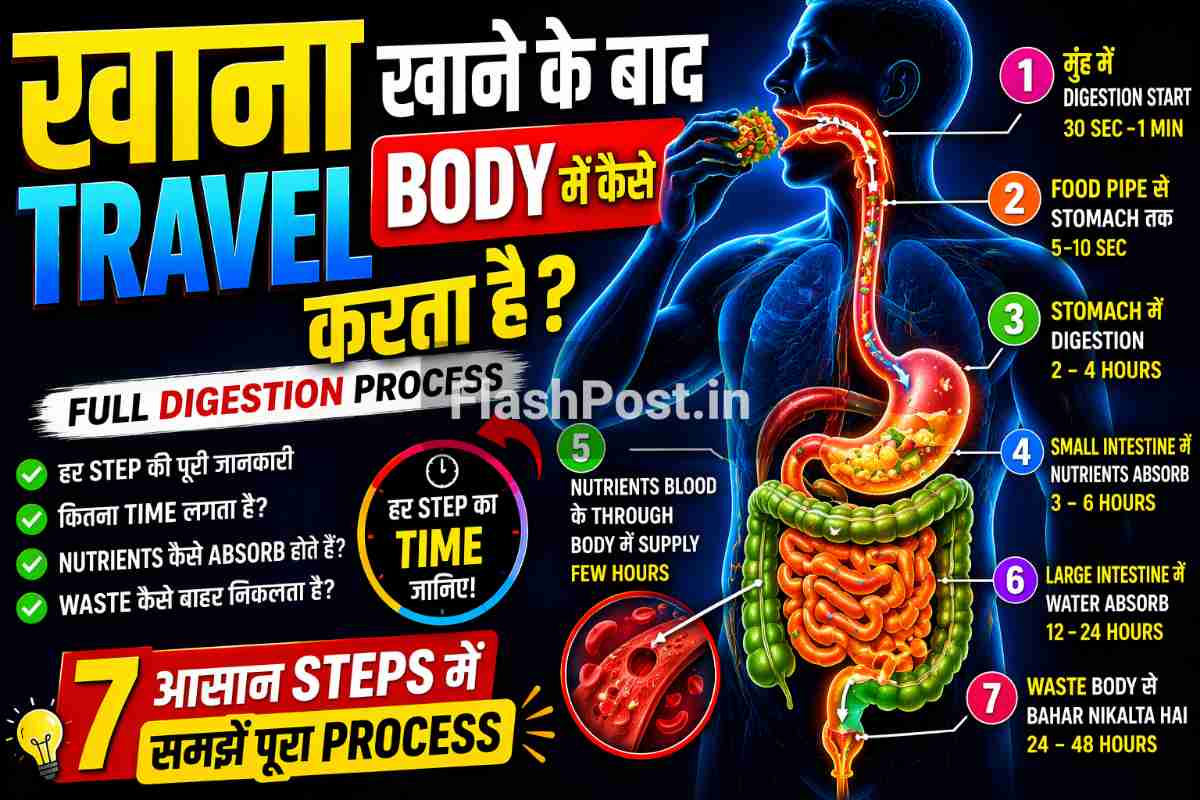 Khana Khane Ke Baad Body Me Kaise Travel Karta Hai (Full Digestion Process)
